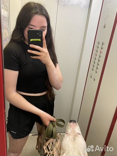 Выгул собак (+фотосессии)