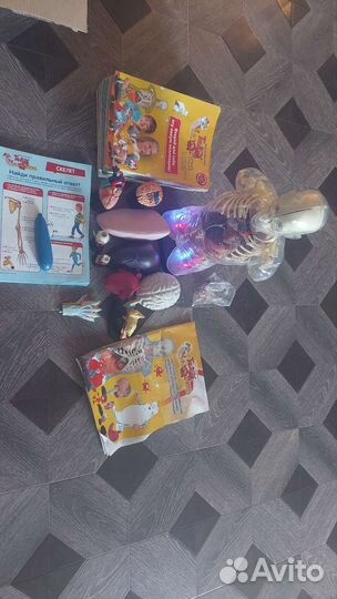 Модель скелета человека