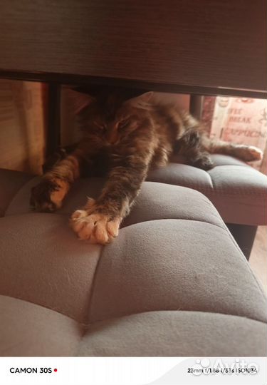 Продам мейкуна