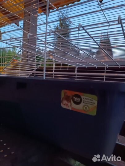 Клетка для грызунов большая