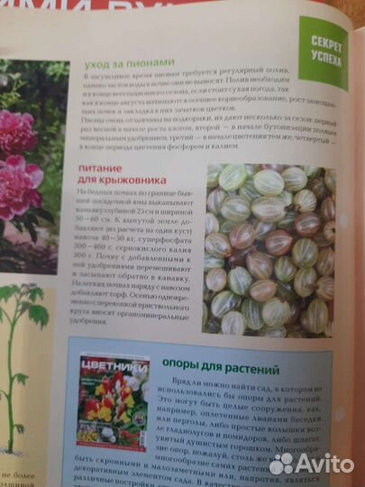 Журналы сад своими руками цена за 3 шт