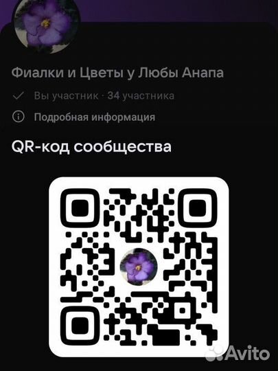 Детки фиалки сенполии