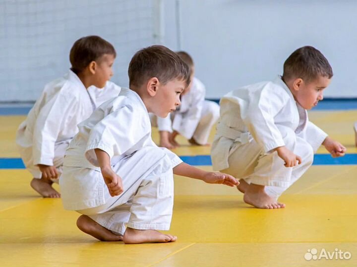 Дзюдо от 4 до 8 лет Мытищи