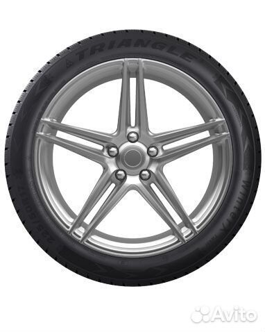 Triangle WinterX TW401 205/55 R16