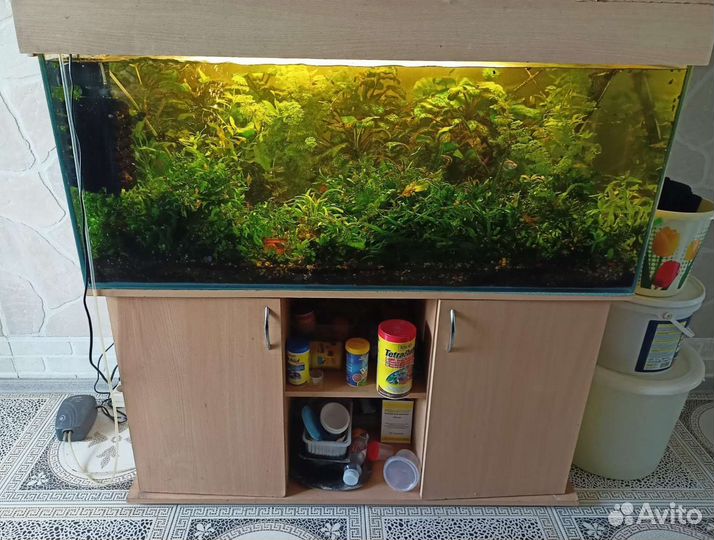 Аквариум 300л
