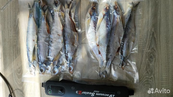 Вяленая чехонь рыба слабый посол.Авито доставка