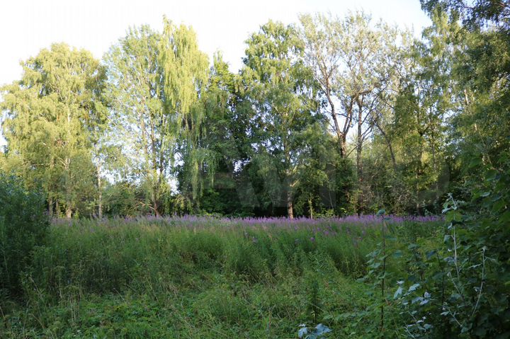 Участок 20 сот. (ИЖС)