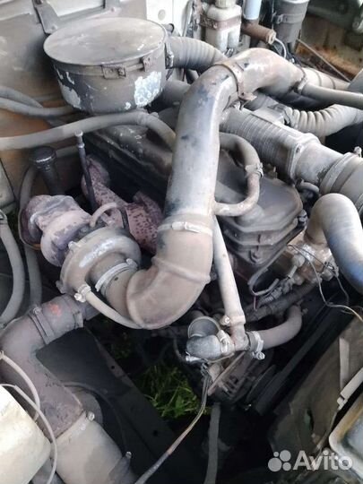 Двигатель д245