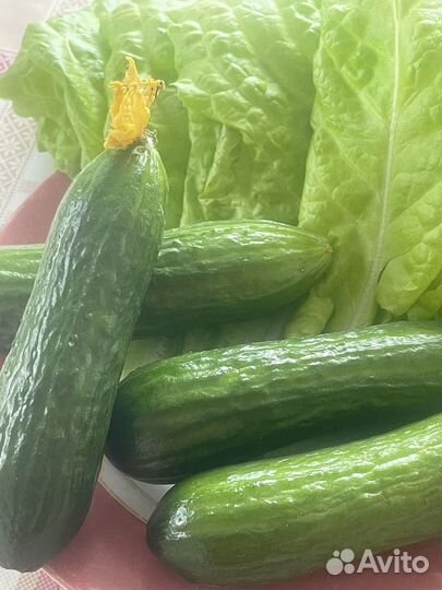 Органические удобрения