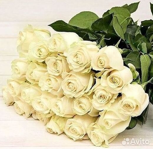 Высокие розы Гигантские Розы 150 160 170 180 190см