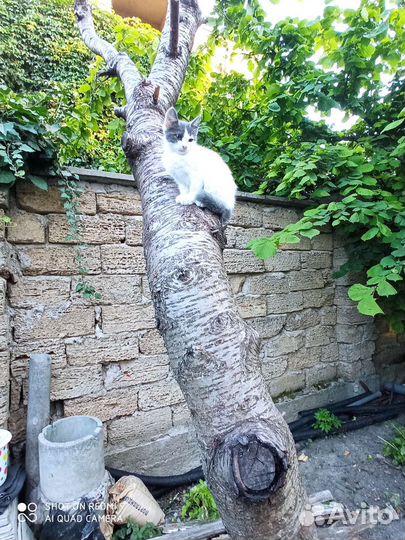 Вот такая малышка осталась