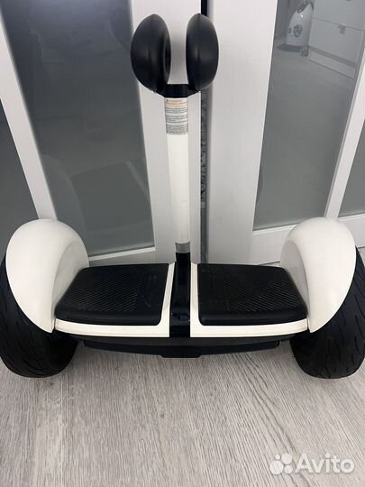 Segway minilite