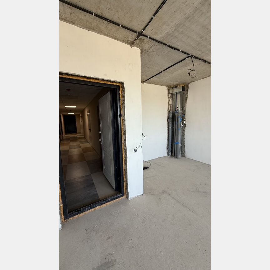 1-к. квартира, 55,6 м², 5/5 эт.