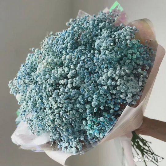 Гипсафила белая и радужная