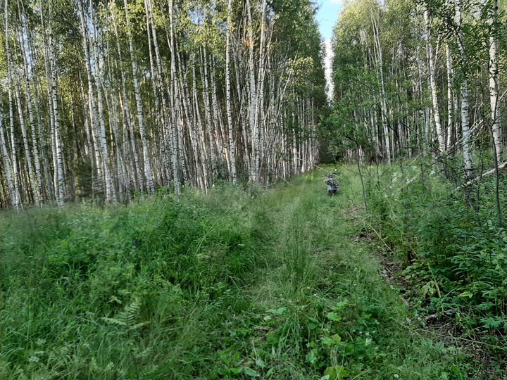 Участок 20 сот. (ИЖС)