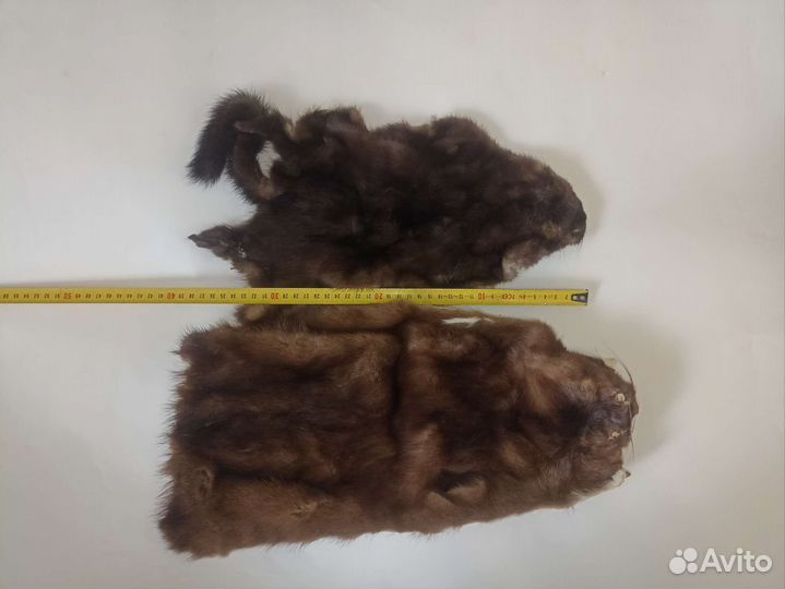 Шкурки дикой норки