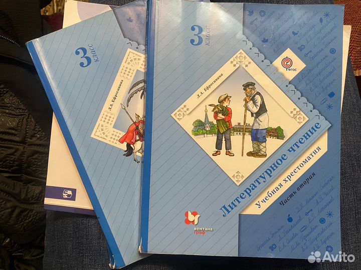 Литературное чтение 3 класс Ефросинина Л.А