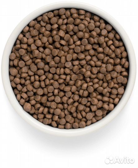 Сухой корм для котов премиум