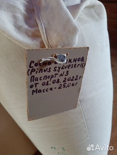 Семена ели на заказ