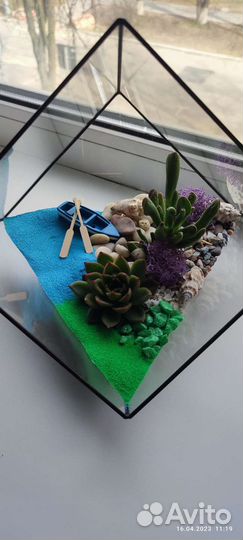 Готовые Флорариумы