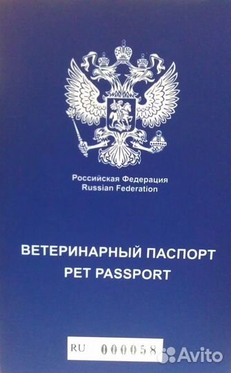 Ветеринарный паспорт