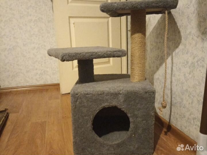 Когтеточка