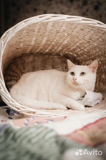 Ее никто не замечает