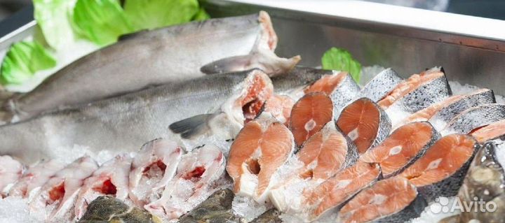 Продается магазин рыбы в популярной локации