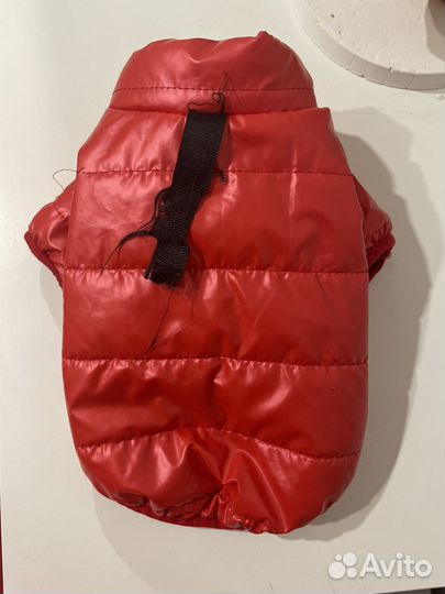 Комбинезон для маленькой собаки