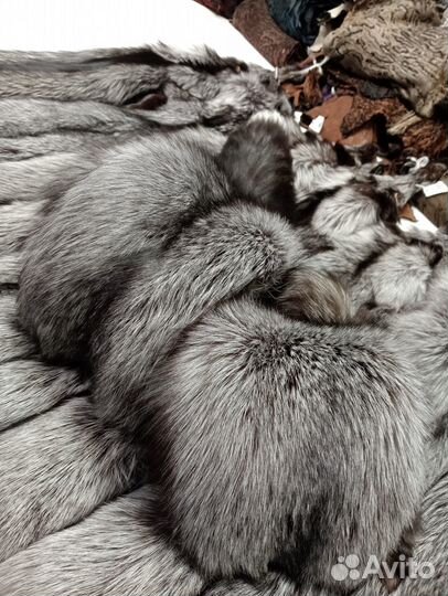 Мех лисы натуральный, шкурки