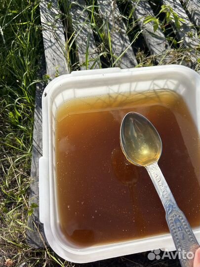 Мед Разнотравье степное (жидкое) опт