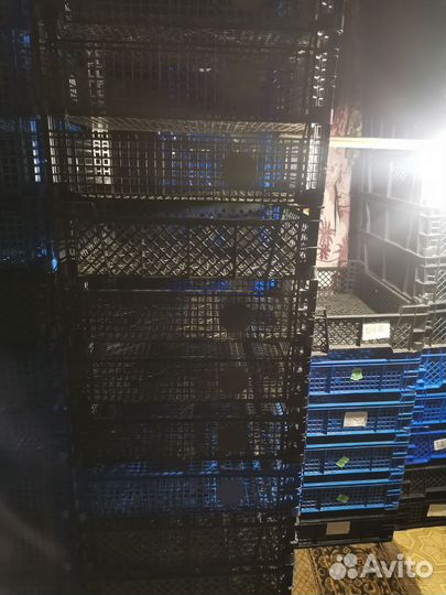 Продаю ящики пластиковые, для хранение овощей