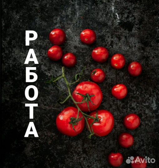 Работа овощеводом