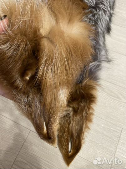 Воротник лиса