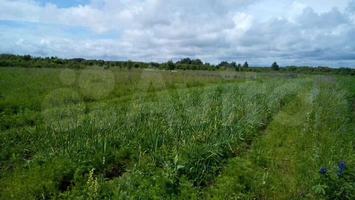 Участок 33,6 га (СНТ, ДНП)