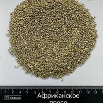 Чумиза Канареечник Пайза Рис Гречиха Рапс Лен, Москва