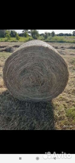 Продажа сена в тюках