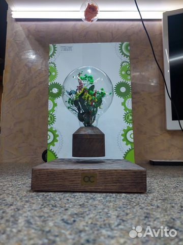 Левитирующий горшок с растениями бонсай подарок купить в Москве ...