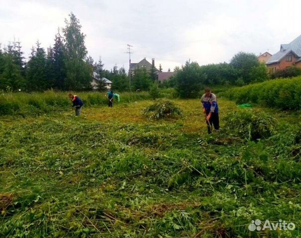 Покос травы. Работаем с организациями