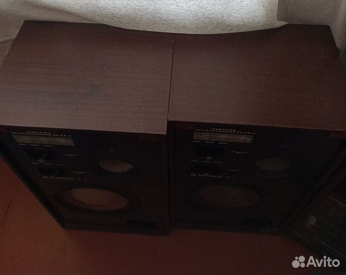 Колонки Акустическая система 35 ас-1