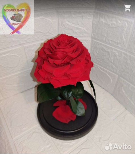 Вечная роза в колбе, размер хl