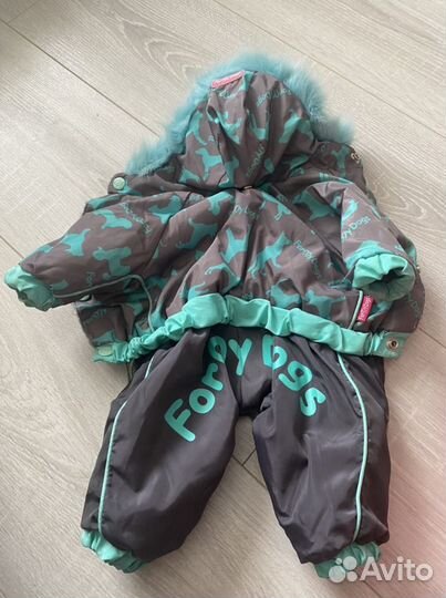 Одежда для собак