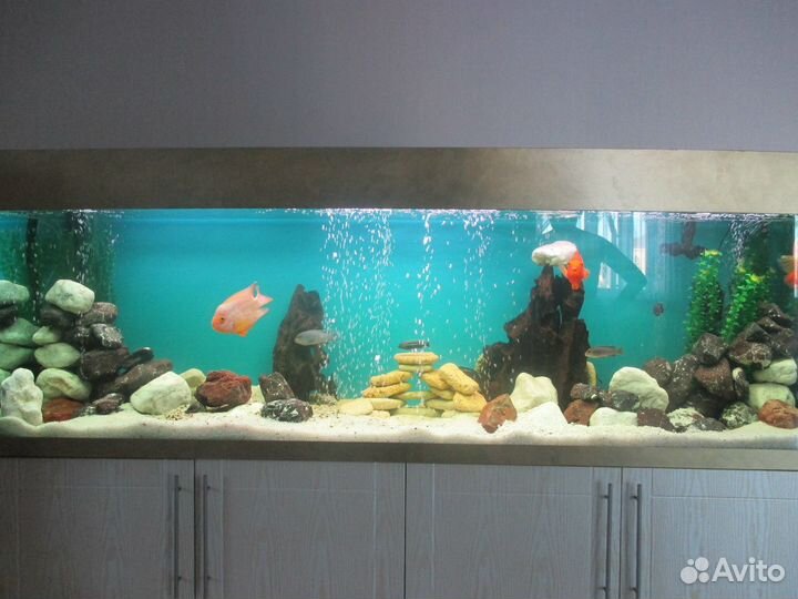 Обслуживание (чистка) аквариума