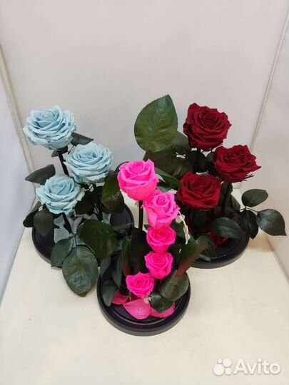 Роза в колбе