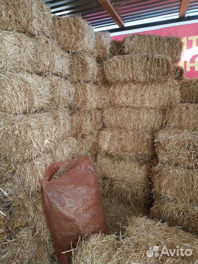 Сено, солома опт/розница