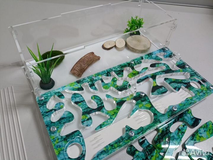 Муравьиный домик, формикарий, муравьи