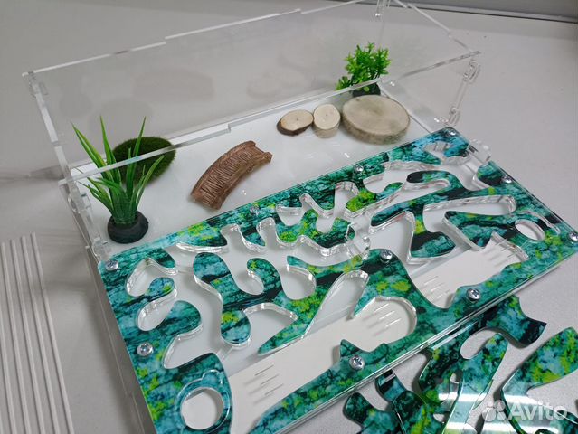 Муравьиный домик, формикарий, муравьи