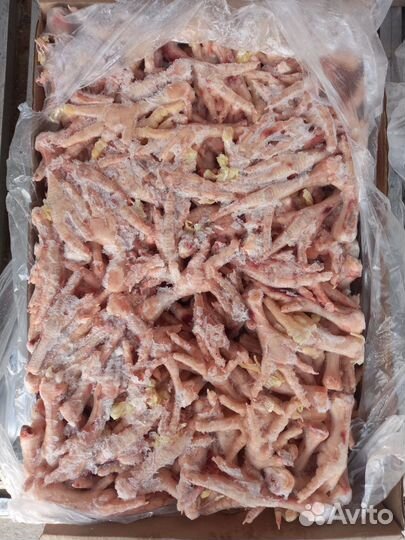 Корм для собак мясо