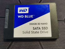 HDD SSD WD Blue 250gb