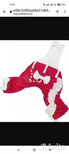 Одежда для собак